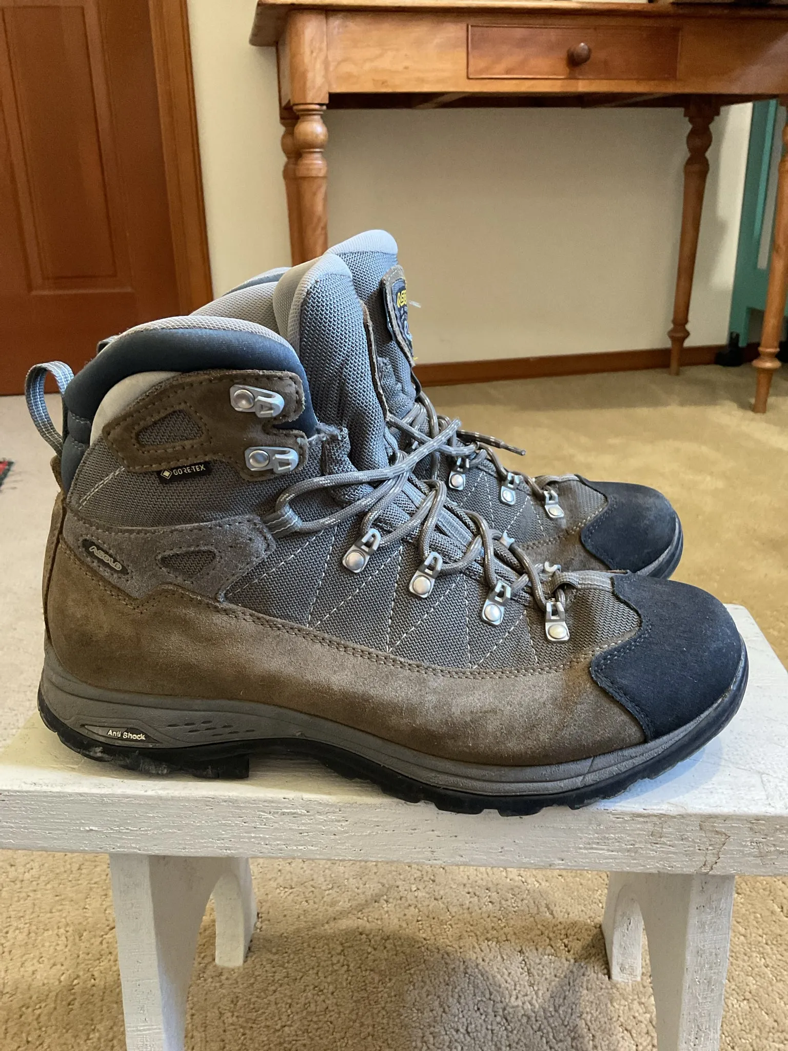 Asolo Finder GV Hiking Boots Men's 10