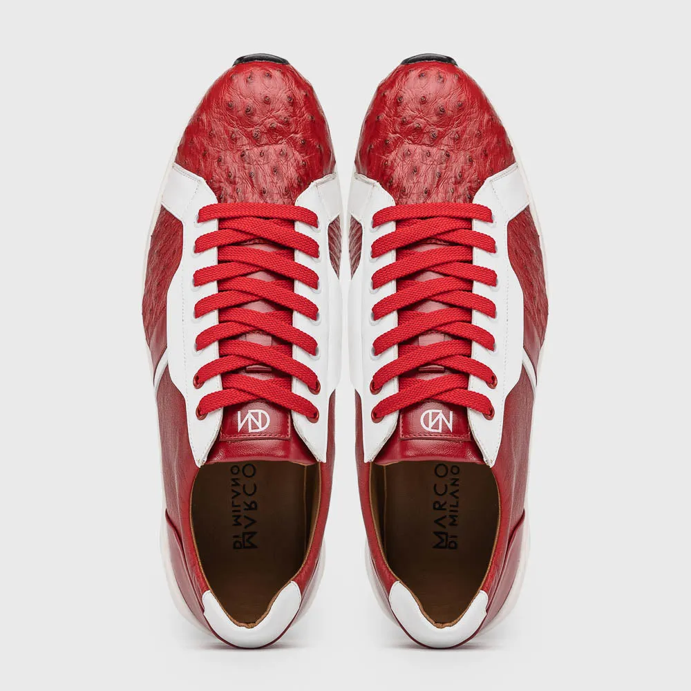 Lyon II - Red/White